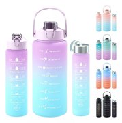 Pack 3 Botellas